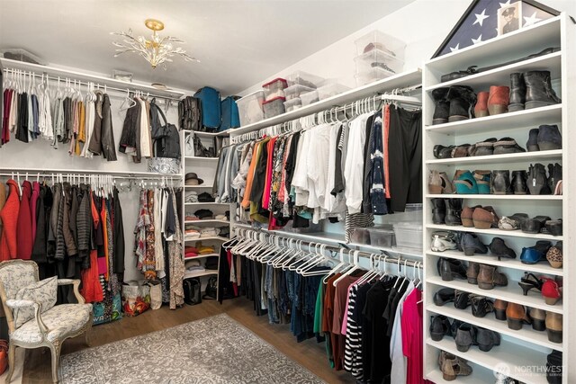 walk in closet with wood finished floors