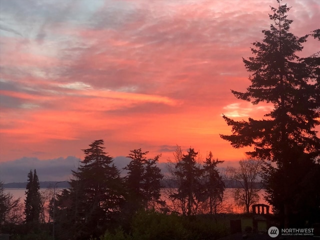 view of nature at dusk