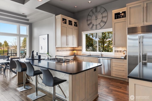 kitchen with dark wood finished floors, backsplash, stainless steel appliances, and a sink