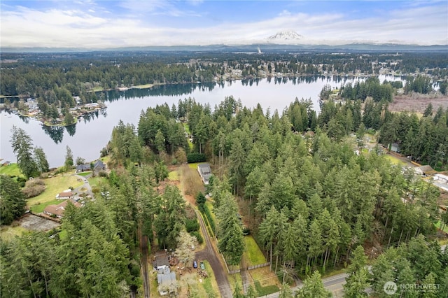 birds eye view of property with a forest view and a water view