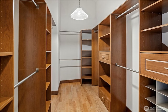 spacious closet featuring light wood-style floors