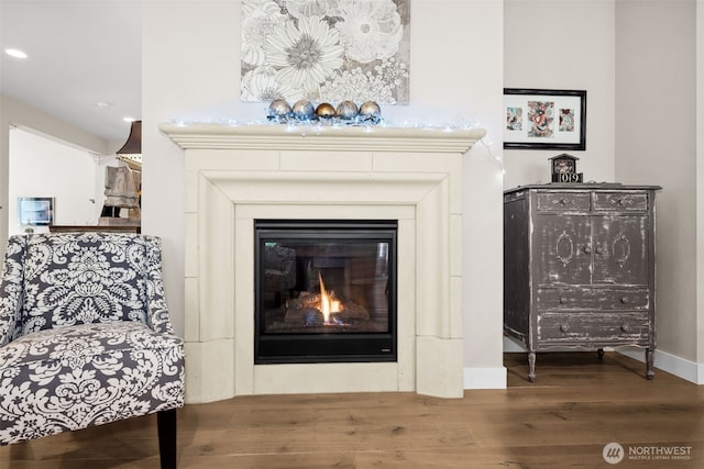 room details featuring a glass covered fireplace, wood finished floors, and baseboards