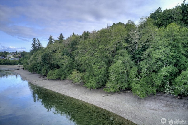 water view with a forest view