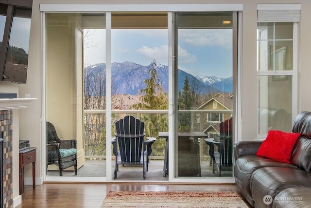 entryway with a wall of windows, wood finished floors, and a mountain view