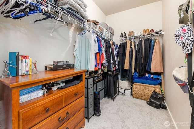 spacious closet featuring carpet