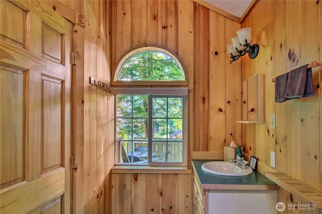 bathroom featuring wooden walls and vanity