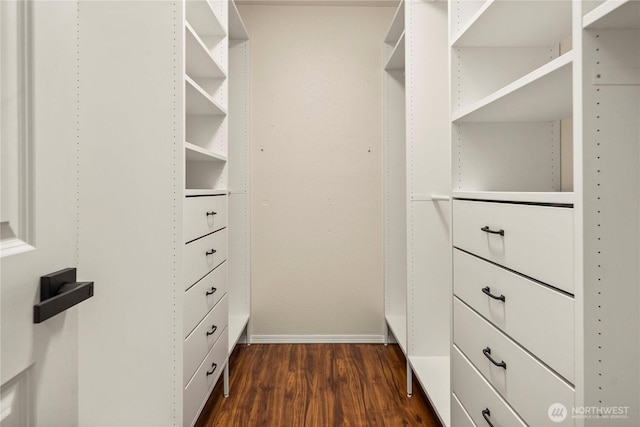 walk in closet featuring dark wood finished floors