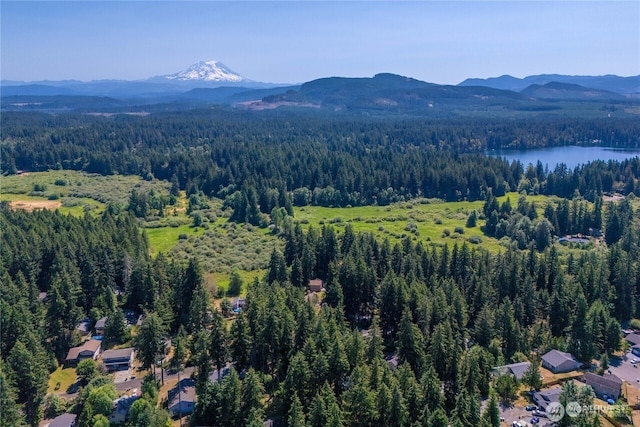 birds eye view of property featuring a view of trees and a mountain view