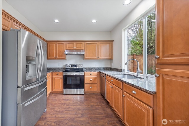 kitchen featuring dark stone countertops, a sink, dark wood-type flooring, under cabinet range hood, and appliances with stainless steel finishes