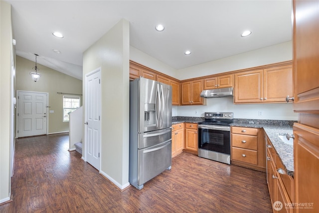 kitchen featuring under cabinet range hood, stainless steel appliances, dark wood-type flooring, and recessed lighting