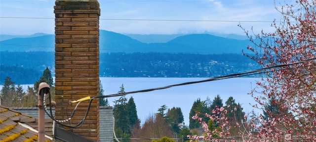 property view of mountains with a forest view