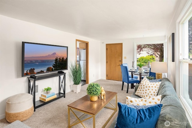 view of carpeted living area