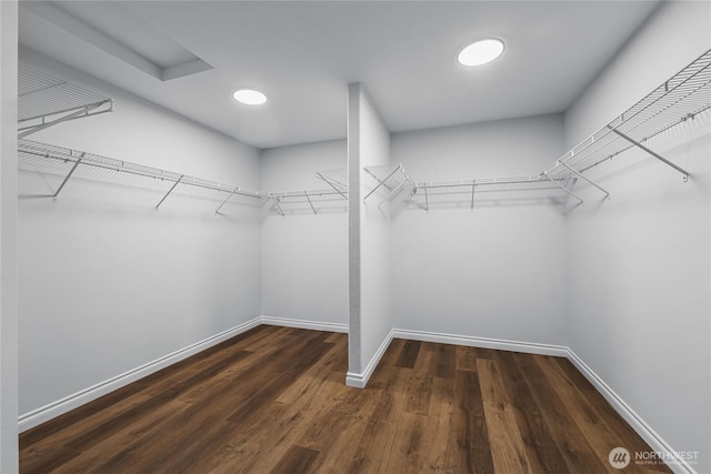 walk in closet featuring wood finished floors