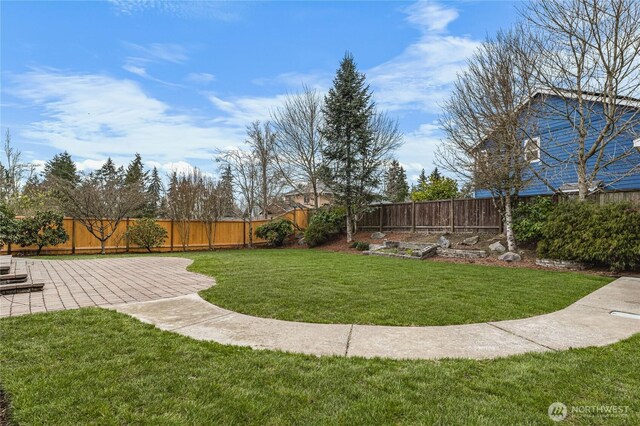 view of yard with a patio and a fenced backyard