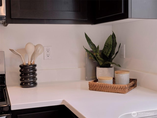 details with light countertops