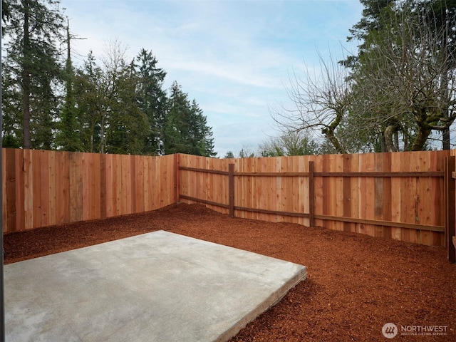 view of yard featuring a fenced backyard and a patio