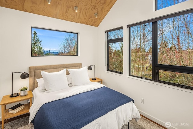 bedroom with baseboards and lofted ceiling