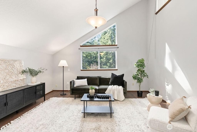 living room with high vaulted ceiling and wood finished floors