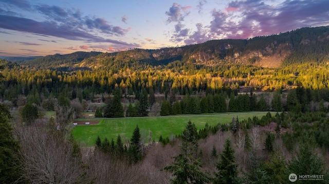 mountain view featuring a forest view