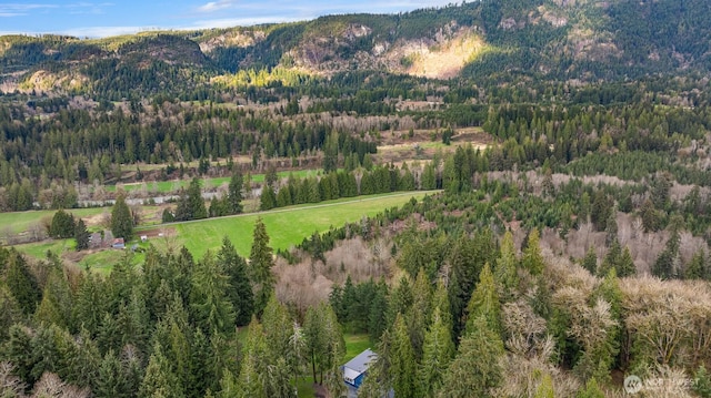 mountain view featuring a wooded view
