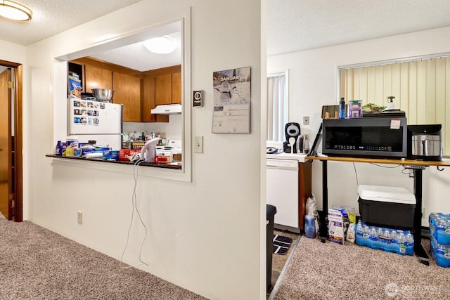 kitchen with under cabinet range hood, white appliances, a textured ceiling, and carpet