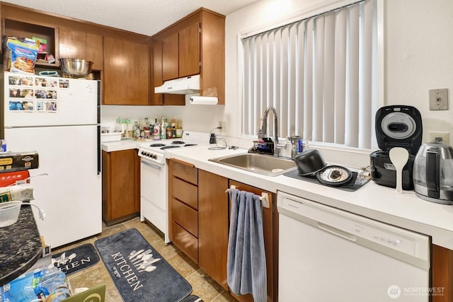 kitchen with white appliances, a sink, light countertops, under cabinet range hood, and brown cabinets