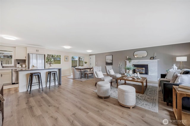 living room featuring a fireplace and light wood finished floors