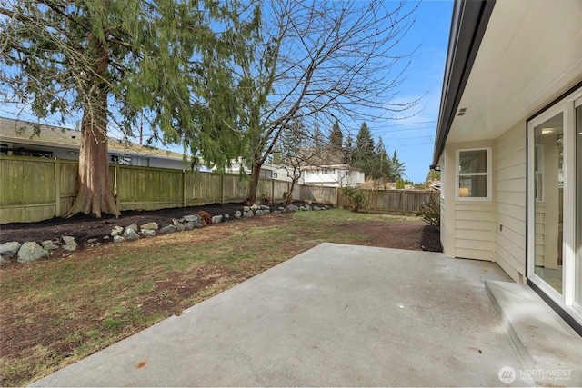 view of yard featuring a patio and a fenced backyard