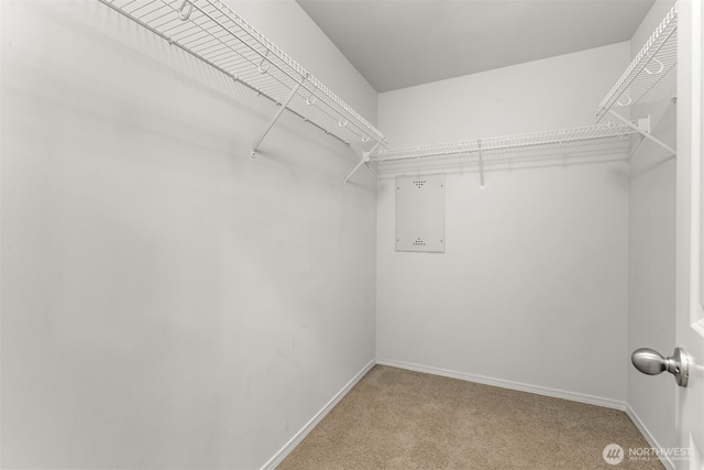 walk in closet featuring light carpet