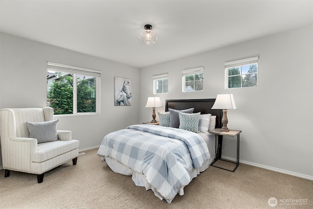 bedroom featuring multiple windows and light colored carpet