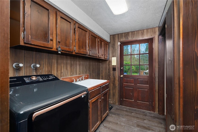 washroom featuring washer / dryer, wooden walls, cabinet space, and a sink