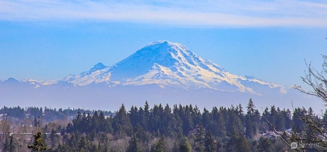 view of mountain feature with a view of trees