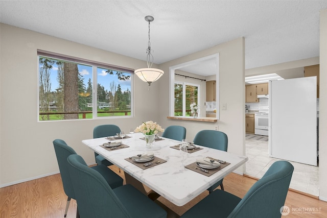 dining space featuring baseboards, a textured ceiling, and light wood finished floors