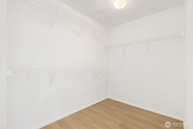 walk in closet featuring wood finished floors