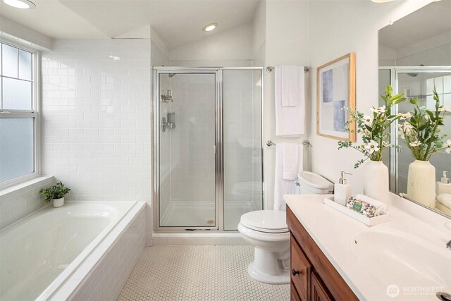 bathroom featuring plenty of natural light, a shower stall, and vaulted ceiling