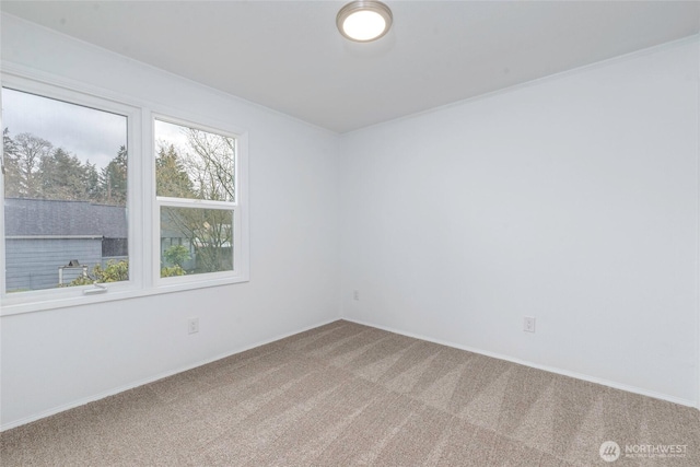 empty room with carpet floors