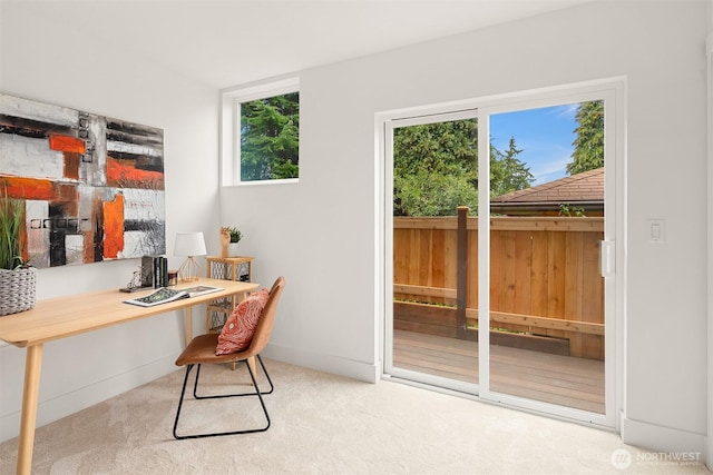 office space featuring plenty of natural light and carpet floors