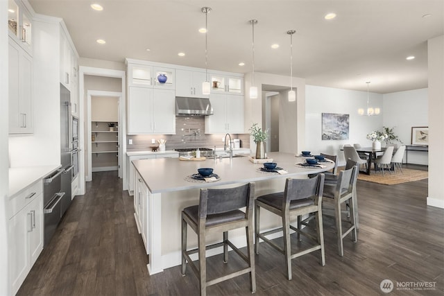 kitchen featuring tasteful backsplash, under cabinet range hood, dark wood finished floors, light countertops, and a sink