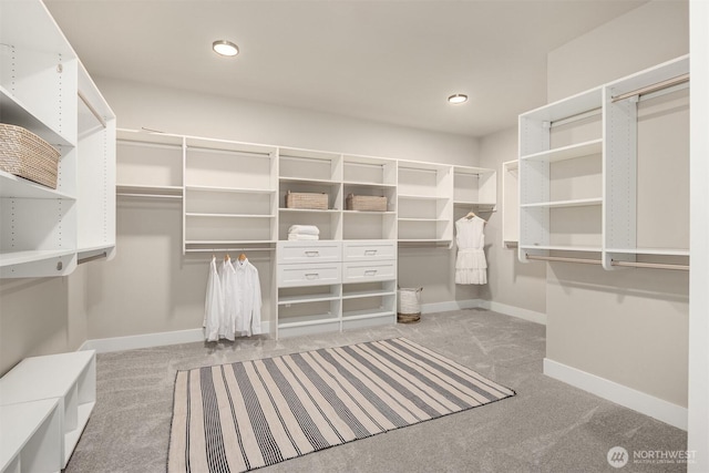 walk in closet featuring carpet flooring