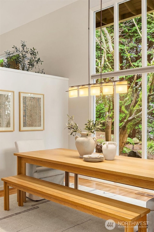 unfurnished dining area featuring a healthy amount of sunlight