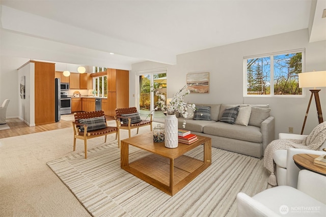 living room with light wood-style floors