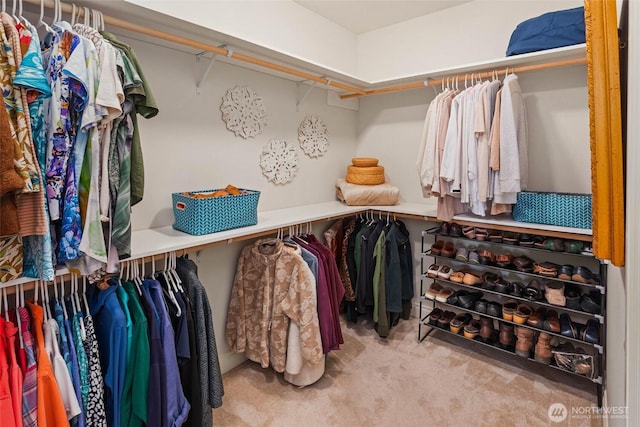 walk in closet with carpet floors