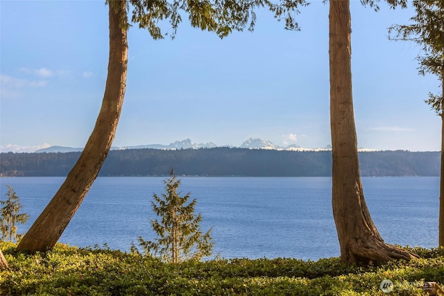 property view of water with a forest view