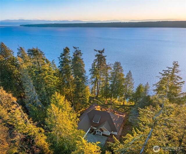 birds eye view of property with a water and mountain view