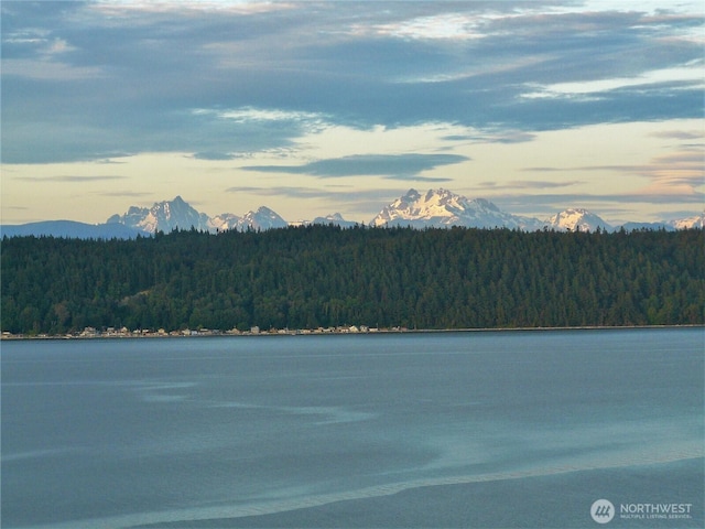 2527 Bretland Rd, Camano Island, WA 98282 - water view with a heavily wooded area and a mountain backdrop