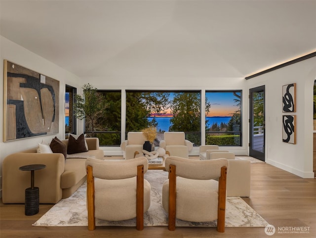 living room featuring lofted ceiling and wood finished floors