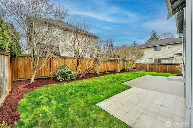 view of yard featuring a fenced backyard and a patio