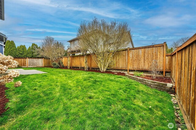 view of yard with a fenced backyard and a patio area