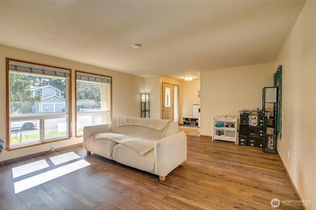 living room with baseboards and wood-type flooring