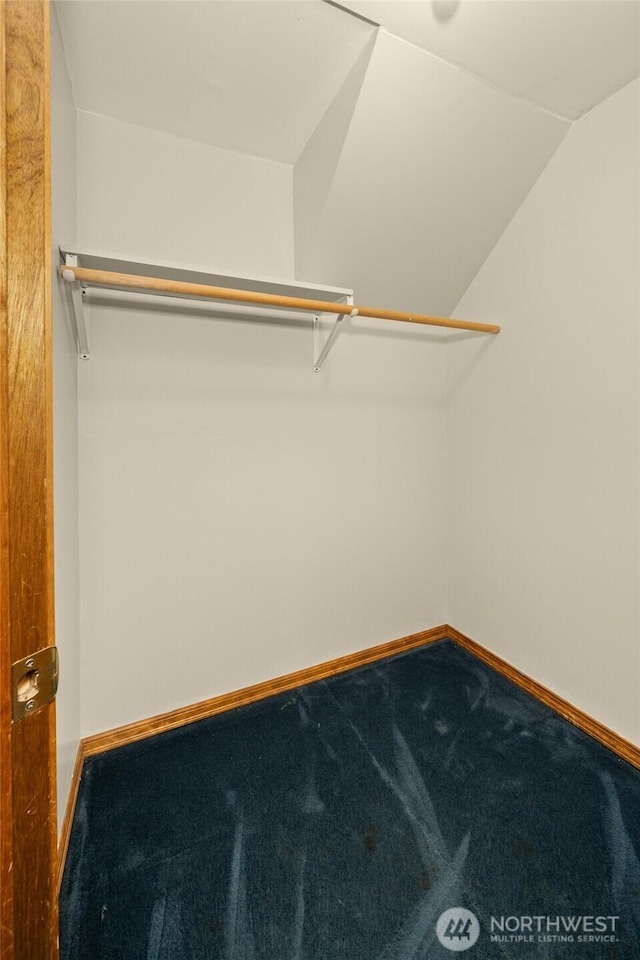 spacious closet featuring carpet flooring and vaulted ceiling